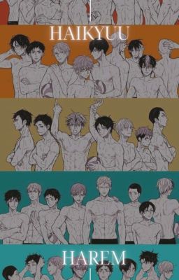 Haikyuu Harem - One Shots