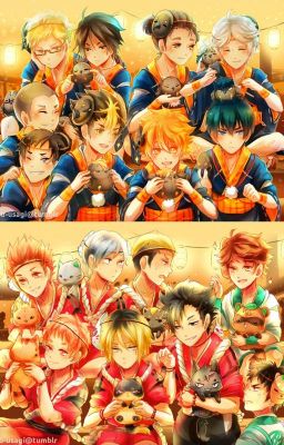 Haikyuu!! Male Character X Reader