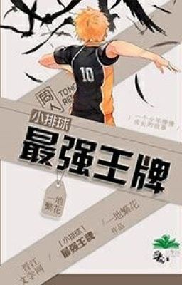 [ Haikyuu!!] Mạnh nhất Ace