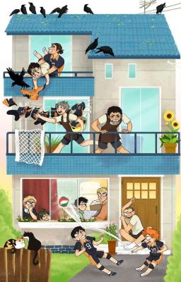 Haikyuu! One-shots and Chatfics