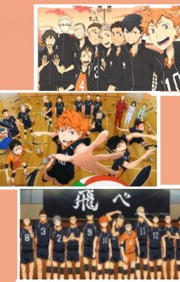 Haikyuu Oneshots (Character x Reader)