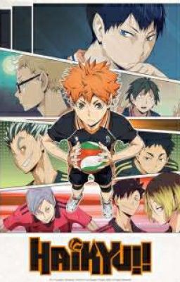 Haikyuu × Reader One Shot's