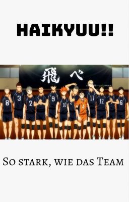 Haikyuu!! - So stark, wie das Team