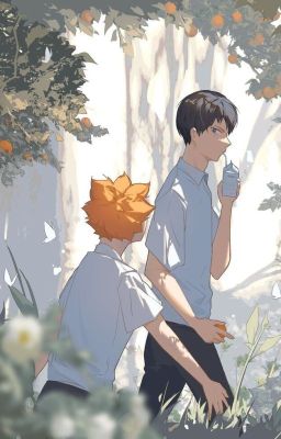 |Haikyuu| Tổng hợp những shortfic mình đã viết.