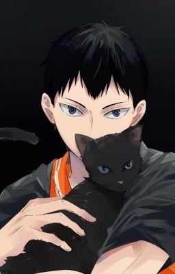 [Haikyuu] |Tsukikage| Đức Vua và Hoàng Tử