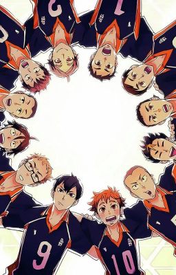 Haikyuu x Male!Reader Preferences