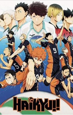 Haikyuu x reader