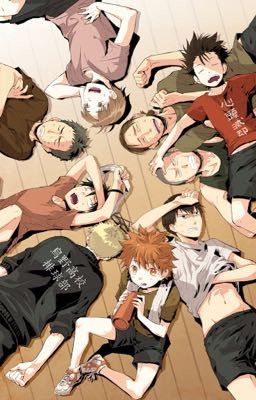 Haikyuu x reader 