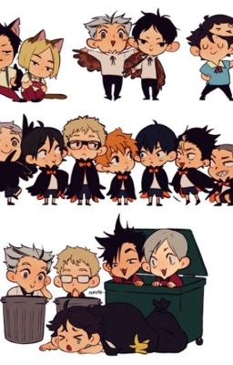 Haikyuu x reader 