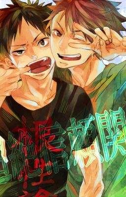 Haikyuu X Reader