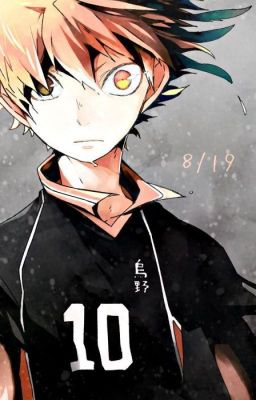 haikyuu x reader oneshots