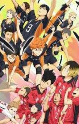 Haikyuu x Reader OS