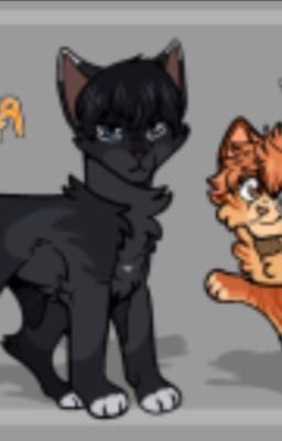 (*)haikyuu X warrior cats(*)