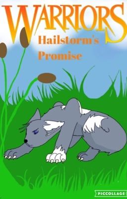 Hailstorm's Promise