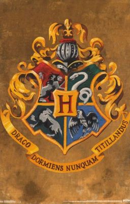 Hallowed Halls of Hogwarts