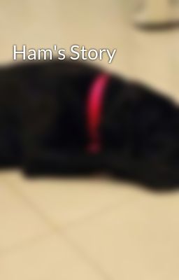 Ham's Story