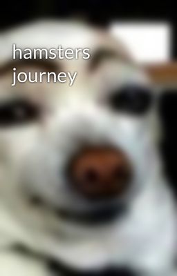 hamsters journey