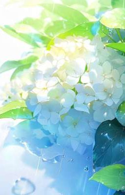 Hanahaki- Tình yêu thinh lặng