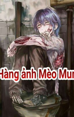 hàng ảnh Mèo mun 