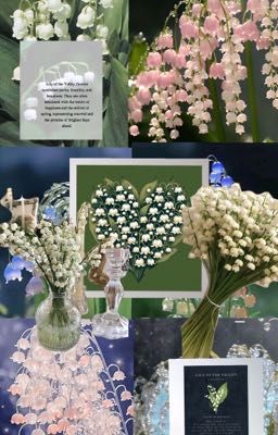 Hạnh phúc đơn giản