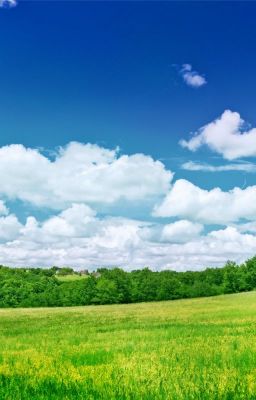 Hạnh phúc là gì? ( 12cs )