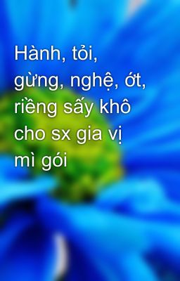 Hành, tỏi, gừng, nghệ, ớt, riềng sấy khô cho sx gia vị  mì gói