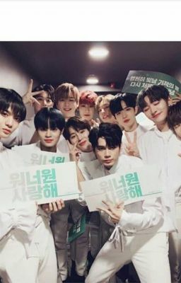 Happy Daniel Day ✨🐶🍑❤️🇰🇷