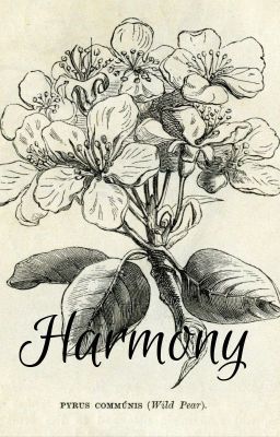 Harmony