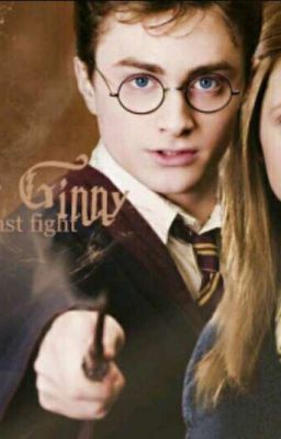 Harry and Ginny Lovestory