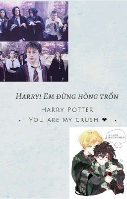 Harry! Em đừng hòng trốn 