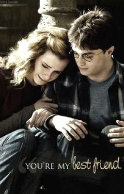 Harry & Hermiona                      Více než jen přátelstvi? ( Pozastaveno )