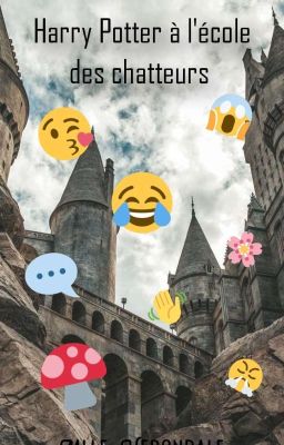 Harry Potter à l'école des chatteurs