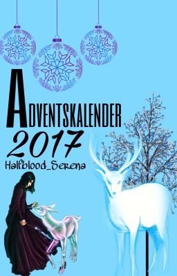 Harry Potter Adventskalender 2017