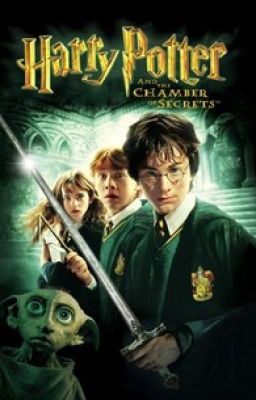 Harry Potter and the Chamber of Secrets {Harry x Reader} [ON HOLD]