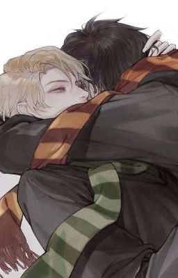 [ Harry Potter_DraHar ] Hoa Nở Ngày Đông