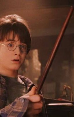 Harry Potter et la baguette magique