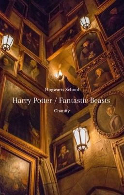 Harry Potter / Fantastic Beasts OneShots