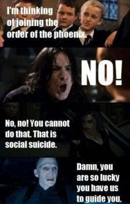 Harry Potter Funny Bilder