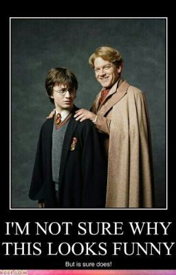 Harry Potter funny pictures