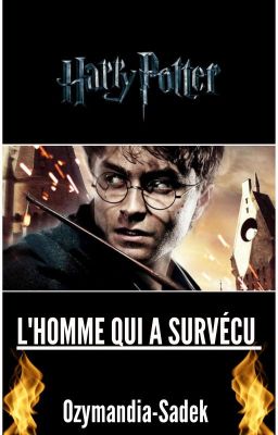 Harry Potter - L'Homme qui a Survécu (FanFiction) 