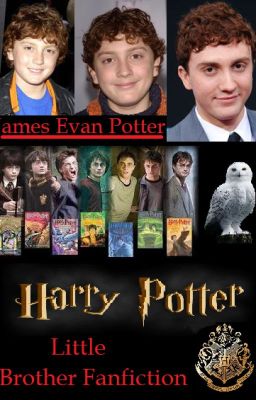 Harry Potter Little Brother Fanfiction