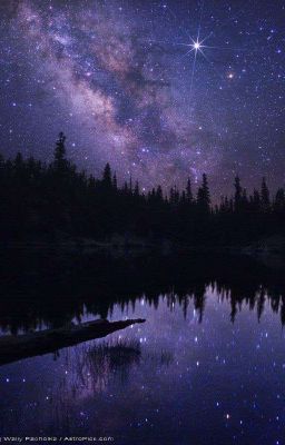 [Harry Potter OC Fanfiction] Hồ Sao