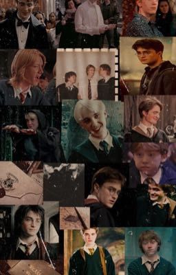 Harry Potter | Préférences 