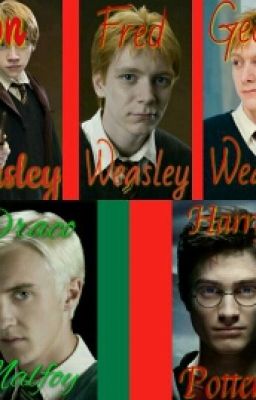 Harry Potter Preferences