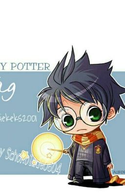 Harry Potter Tag, started by Schokolade0604