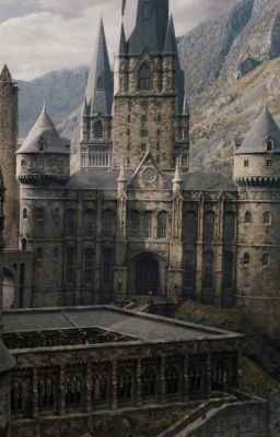 [Harry Potter] Tarot Reader