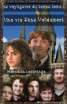 Harry Potter  Une vie sans Voldemort.