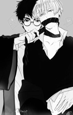 Harry Potter và món đồ chơi tuyệt vời nhất