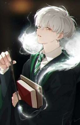 [ Harry Potter x Mashle ] ( all draco ) Chồn sương 