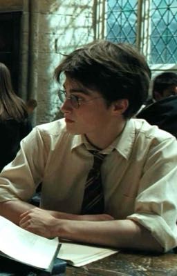 Harry Potter x reader - búp bê